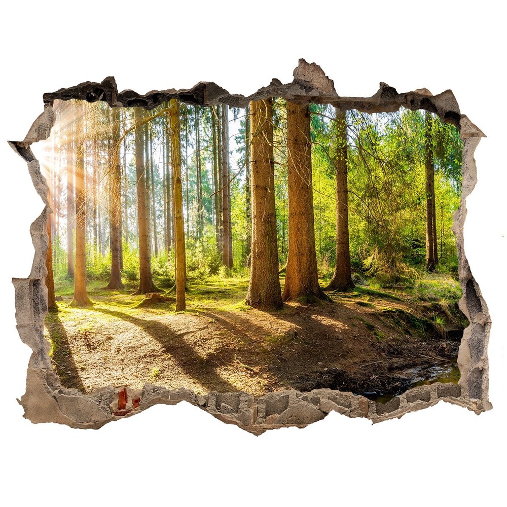 Hole in the wall decal Panorama of the forest