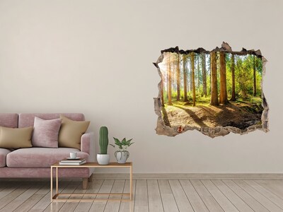 Hole in the wall decal A forest oasis of peace