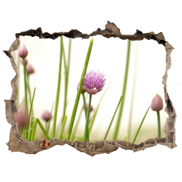 Hole in the wall sticker Chives