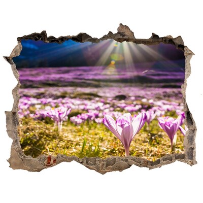 Hole in the wall decal A flower field in the sunshine