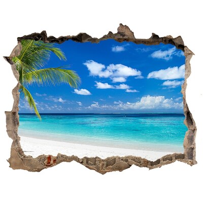 3D wall hole Tropical beach with palm trees