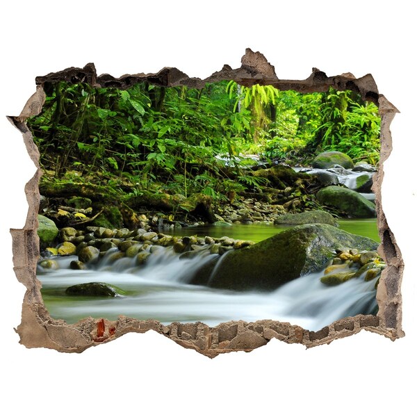 Hole wall sticker Waterfall in the tropical forest