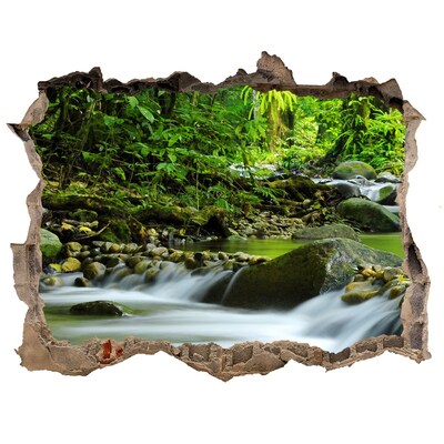 Hole wall sticker Waterfall in the tropical forest
