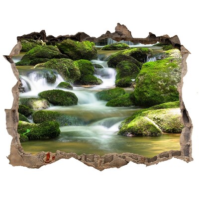 Hole wall sticker Waterfall in the green forest