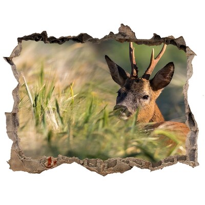 Hole in the wall decal Roe deer in a forest landscape