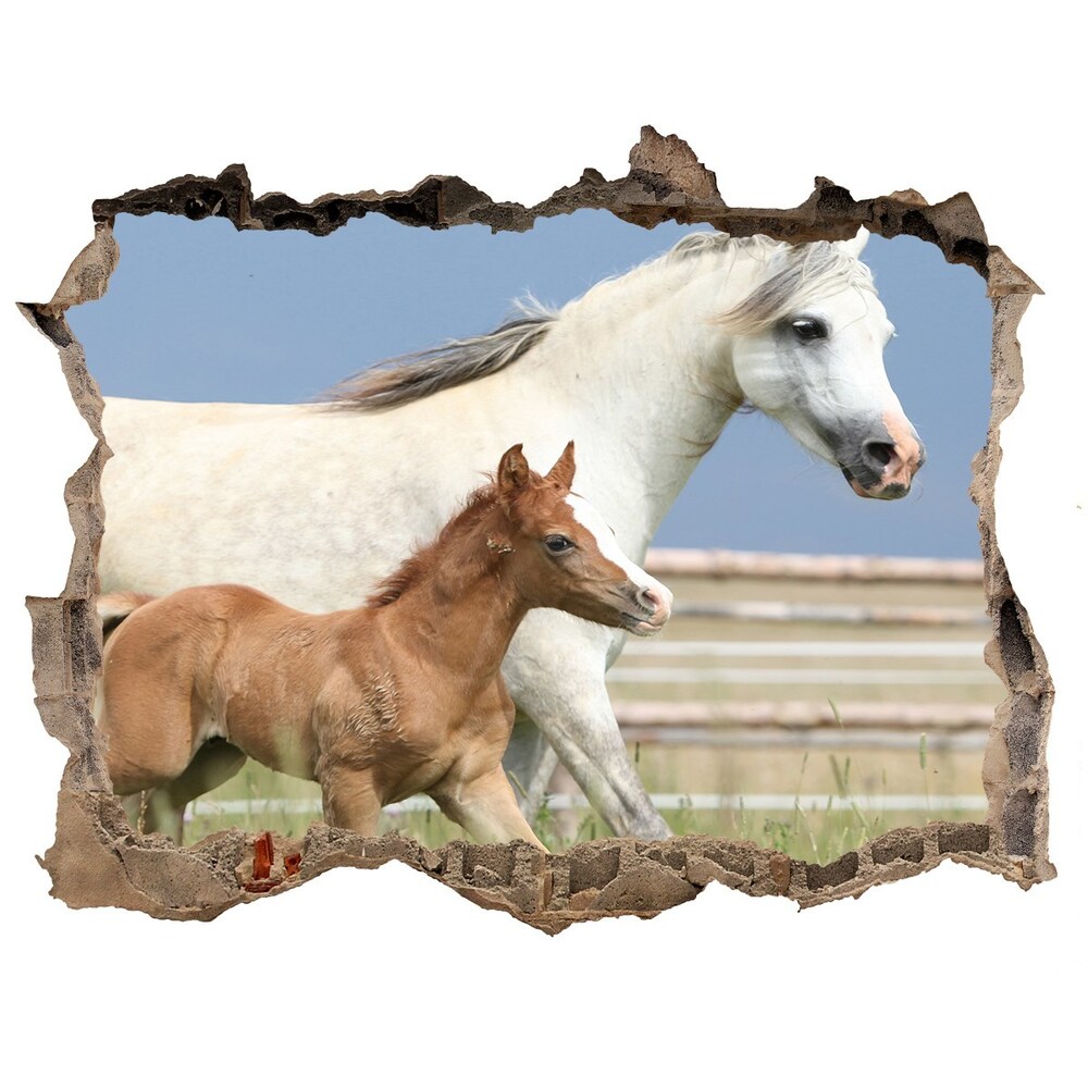 Hole in the wall sticker Mare with foal