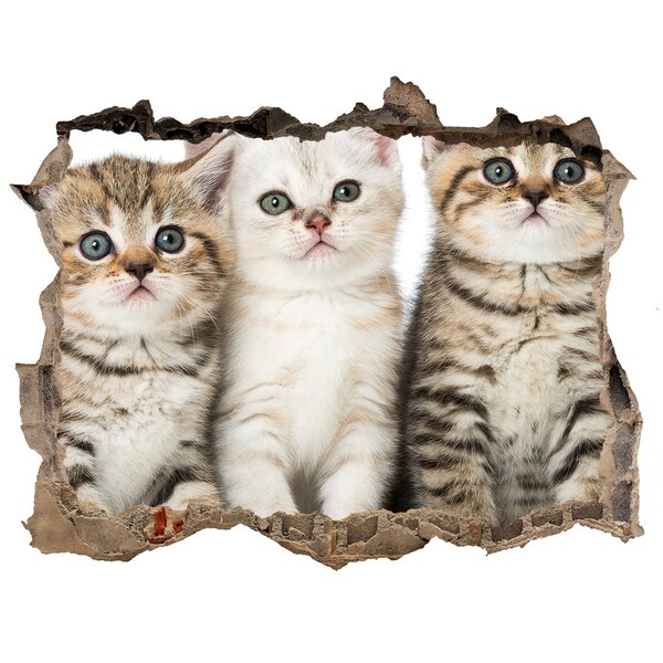 Hole in the wall decal The cat trio behind the hole in the wall
