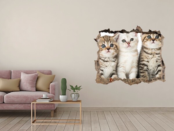 Hole in the wall decal The cat trio behind the hole in the wall
