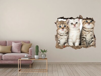 Hole in the wall decal The cat trio behind the hole in the wall