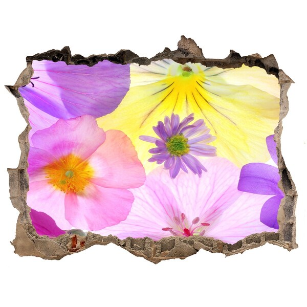 Hole in the wall decal Pansies