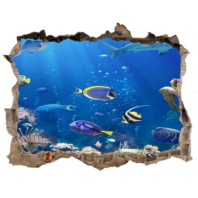 Hole in the wall sticker An underwater world full of fish