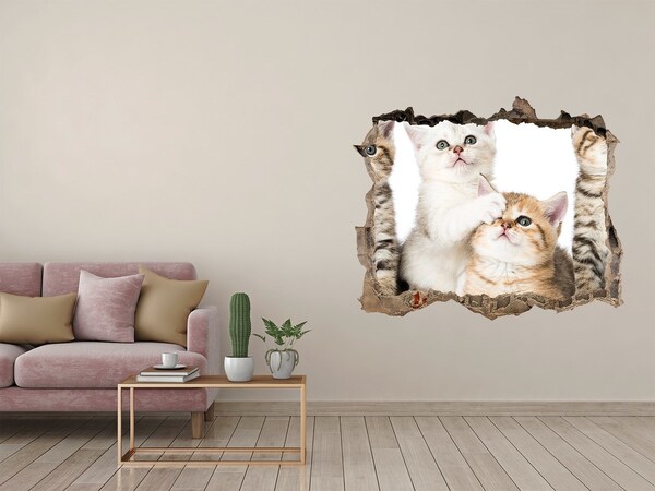 Hole in the wall decal Kittens in a hole in the wall