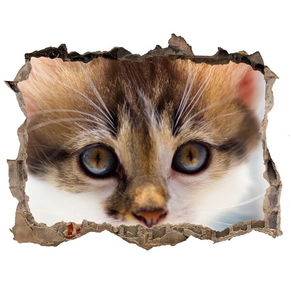 3D wall hole wallpaper Cat in a hole in the wall