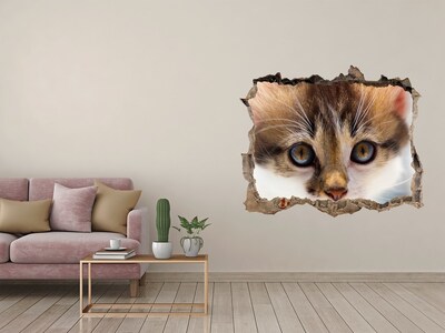 3D wall hole wallpaper Cat in a hole in the wall
