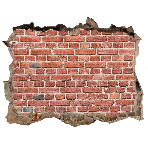 Hole in the wall decal Brick wall