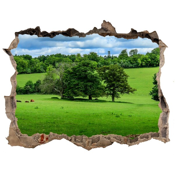 Hole in the wall sticker Green meadow with trees