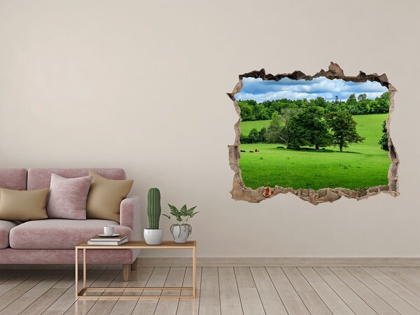 Hole in the wall sticker Green meadow with trees