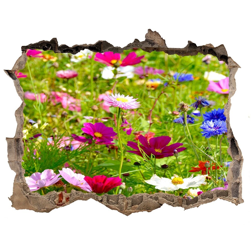 Hole wall sticker Field flowers