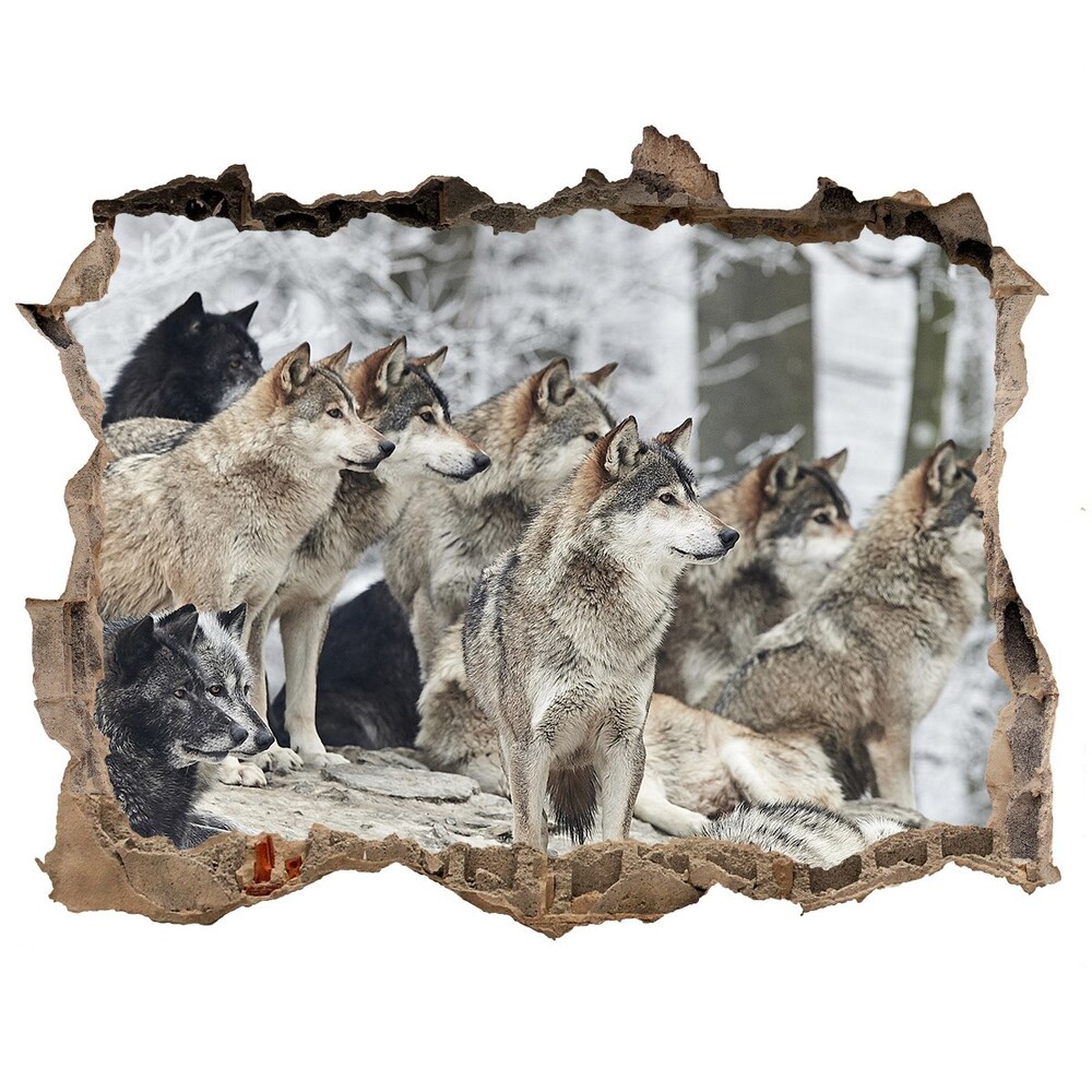 Hole wall sticker Wolves sticker in winter