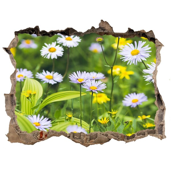 3D wall hole Daisy