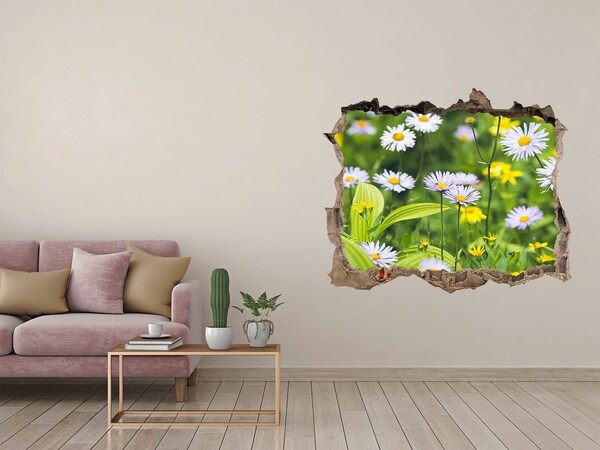 3D wall hole Daisy