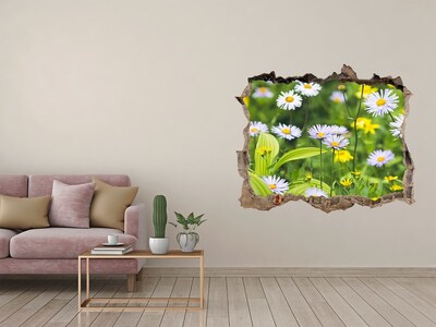 3D wall hole Daisy