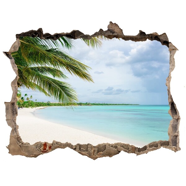 Hole wall sticker Tropical beach with palm trees