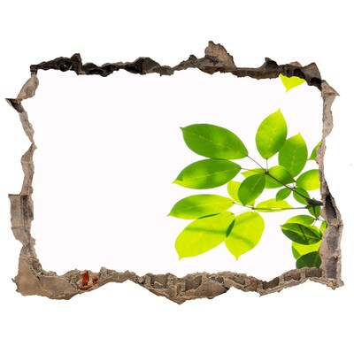 Hole wall sticker Leaves