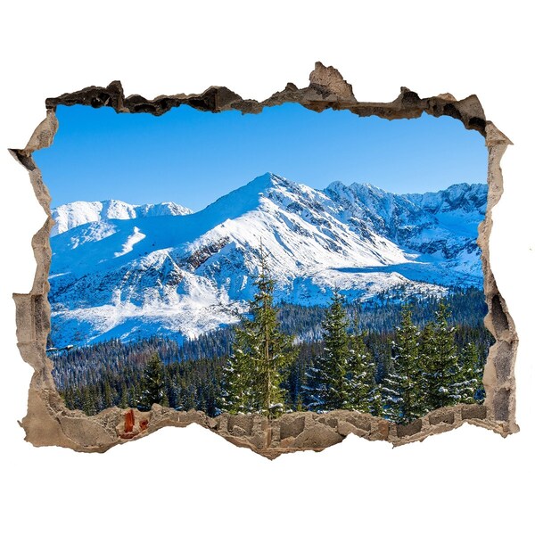 Hole in the wall sticker Winter mountain landscape