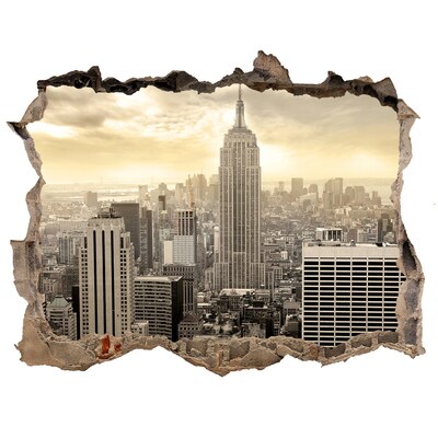 3D wall hole wallpaper Manhattan New York