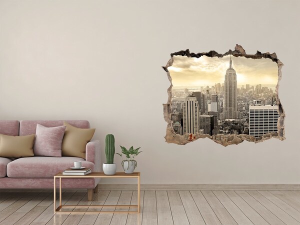 3D wall hole wallpaper View of New York