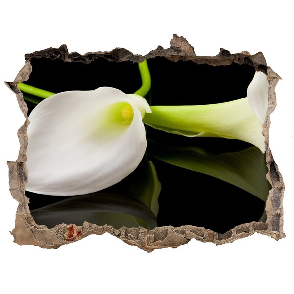 Hole wall sticker Flower in concrete