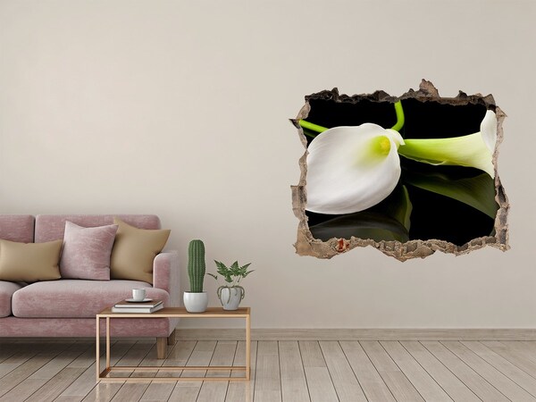Hole wall sticker Flower in concrete