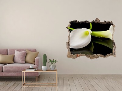 Hole wall sticker Flower in concrete