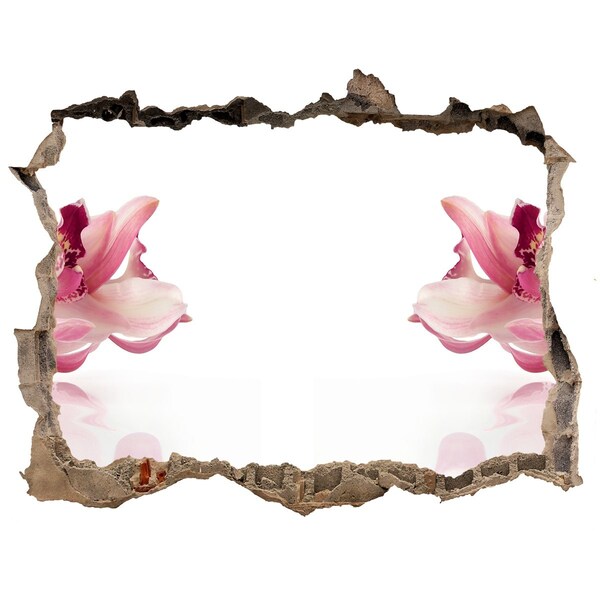 Hole in the wall sticker Orchid