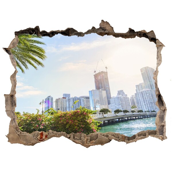 Hole in the wall decal Miami USA