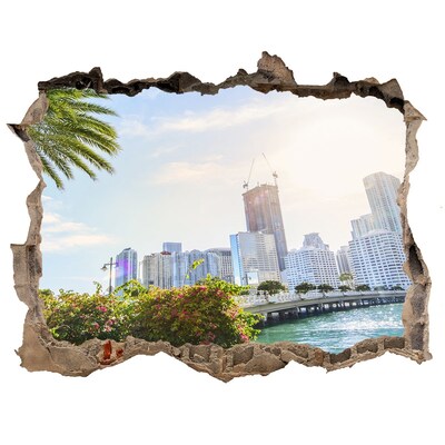 Hole in the wall decal Miami USA