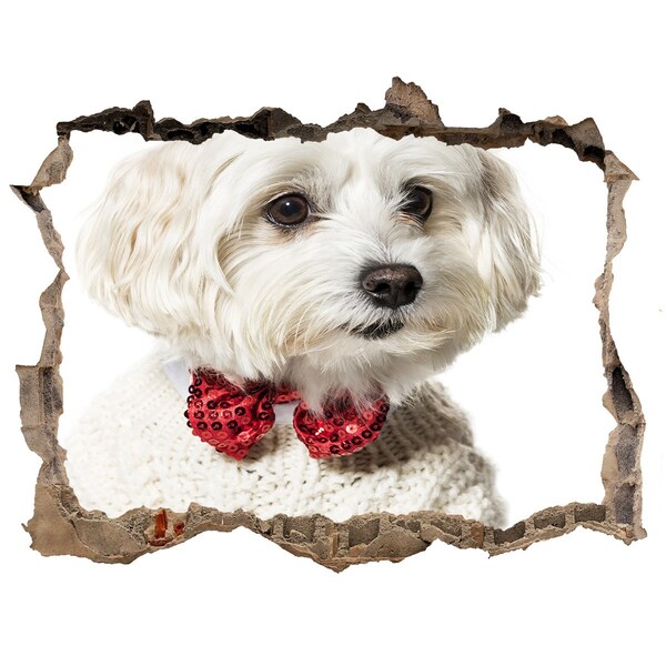 Hole in the wall sticker Maltese in a bow tie