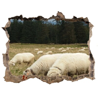 Hole in the wall sticker Grazing sheep