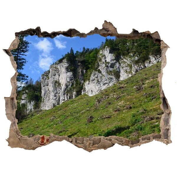 Hole in the wall decal Mountain landscape through a hole in the wall