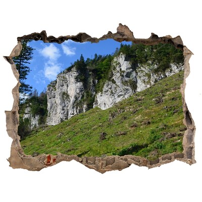 Hole in the wall decal Mountain landscape through a hole in the wall