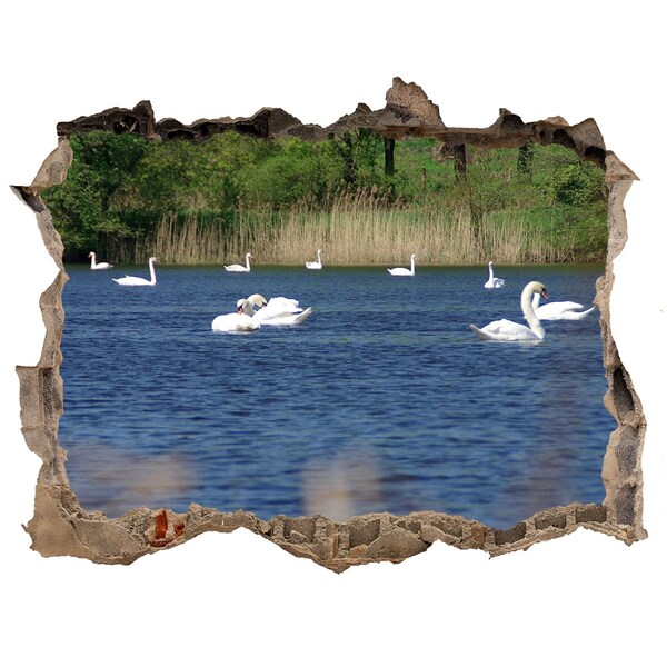 Hole in the wall decal Lake with swans