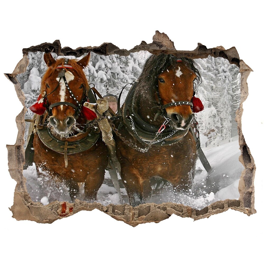 Hole in the wall decal Sleigh ride