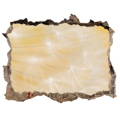 3D wall hole wallpaper Floral space behind the wall