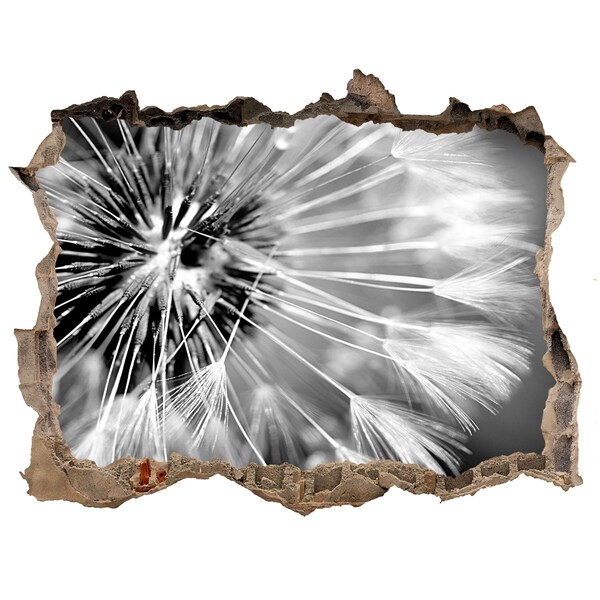 Hole wall sticker Dandelions in black and white
