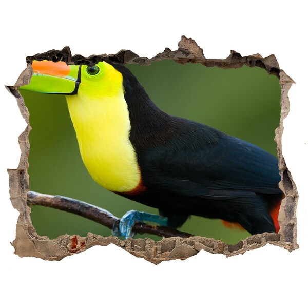 Hole in the wall decal Toucan in a tropical forest