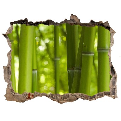 Hole wall sticker Green bamboo grove