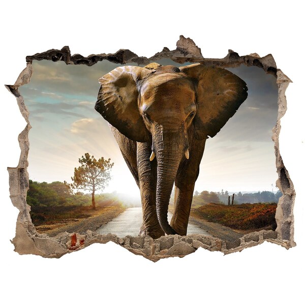 Hole wall sticker Elephant on the road in the jungle
