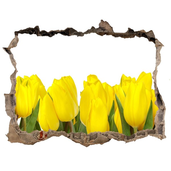 Hole wall sticker Tulips in a hole in the wall