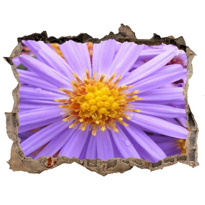 Hole wall sticker Asters